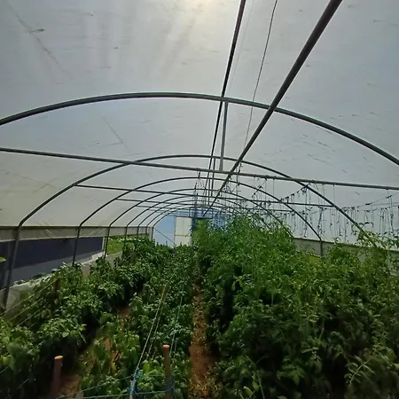 Denis Lejlighed Luzine