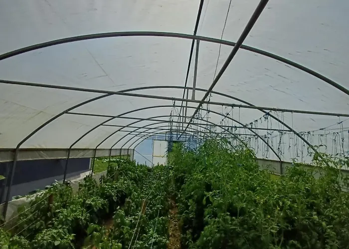 Denis Apartmán Luzine